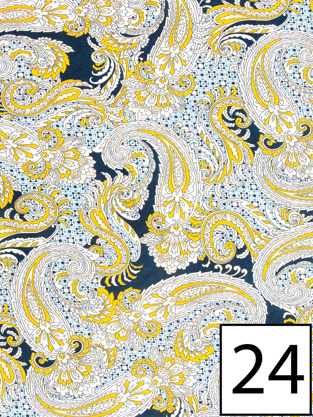  - VARIANTE 24